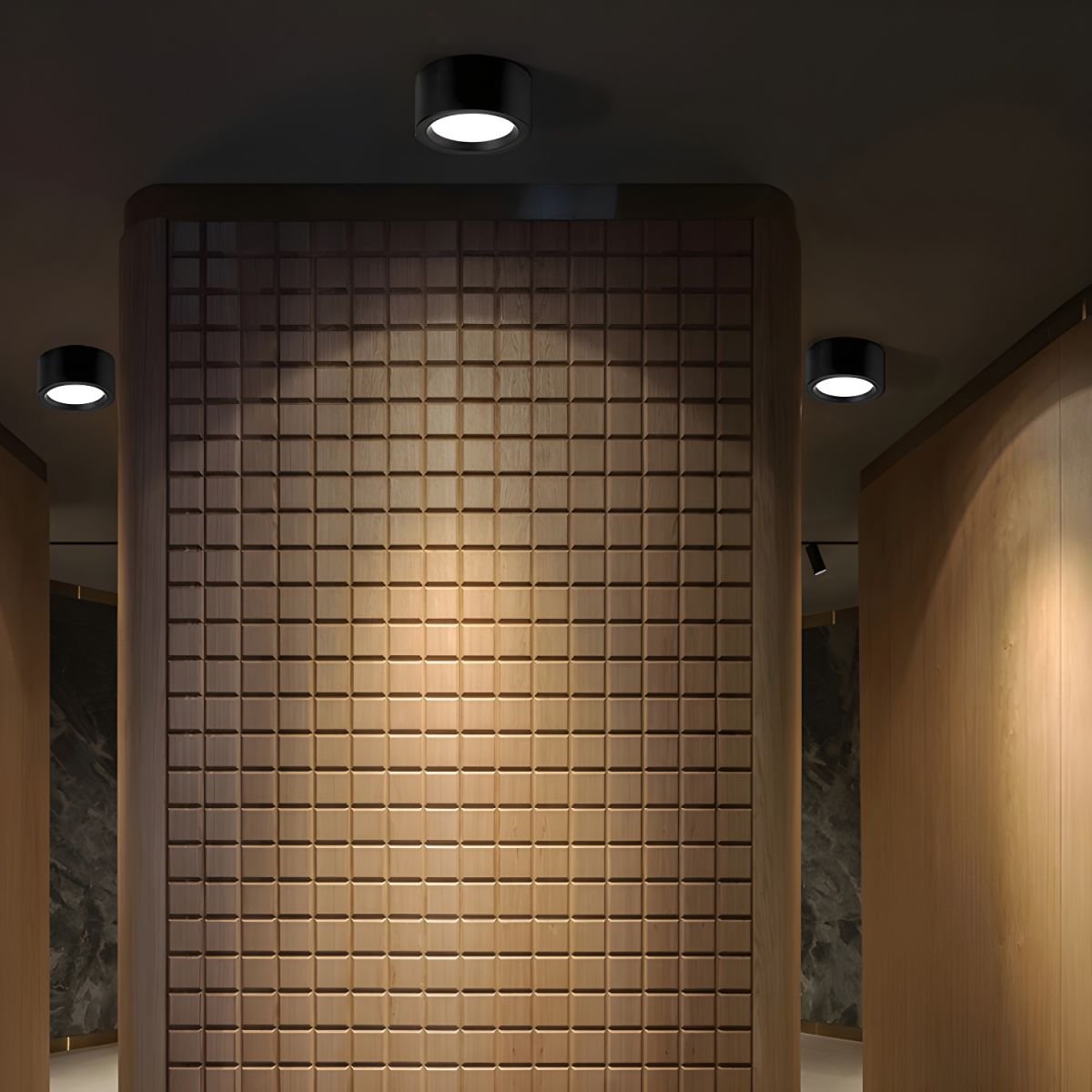 Variant image for Nordic Style Indoor Surface Flush Ceiling Light | Flush Mount Ceiling Light | LED Ceiling Lights | Ceiling Light Fixture | Modern Home Illumination – Emeglin-16