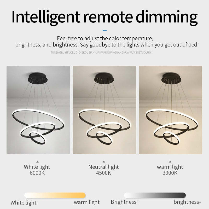 Arisha Modern Ring Pendant Light
