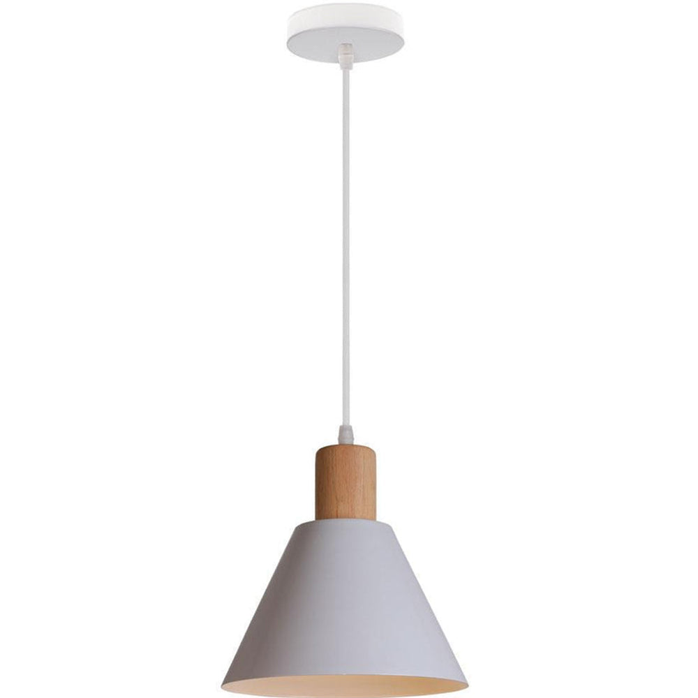 Contemporary Iron Pendant Light