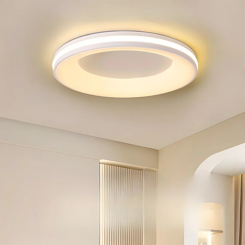 Modern Circle Ceiling Light Fixture