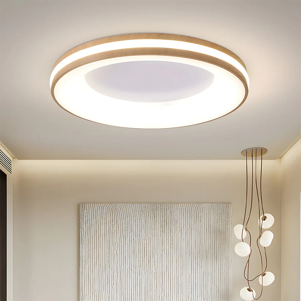 Modern Circle Ceiling Light Fixture