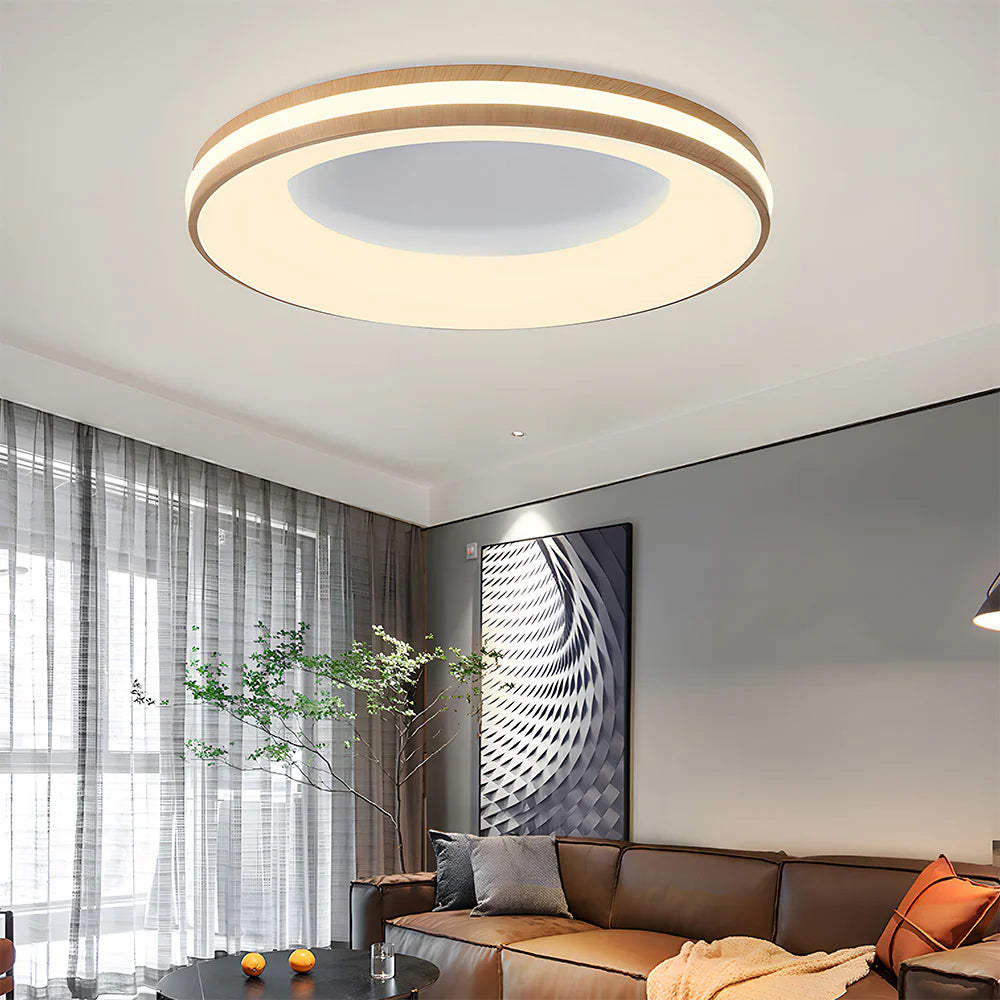 Modern Circle Ceiling Light Fixture
