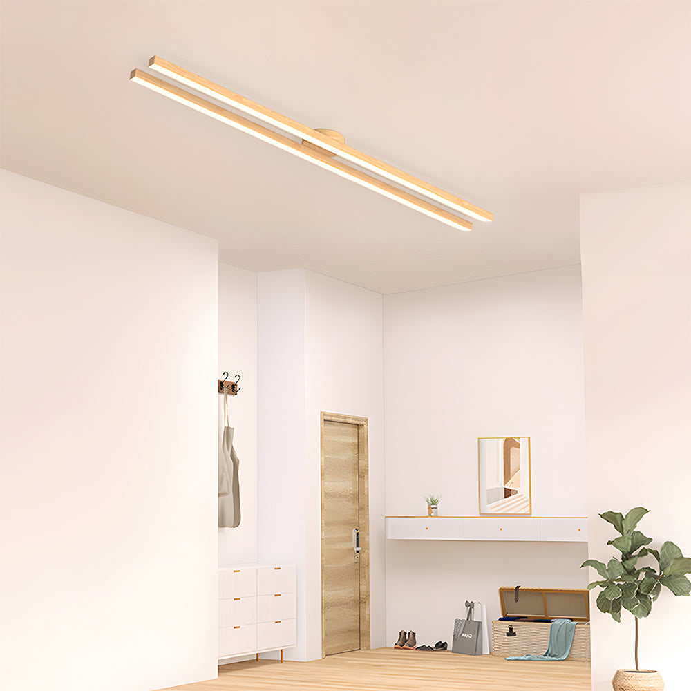 Modern LED Ceiling Light Fixture