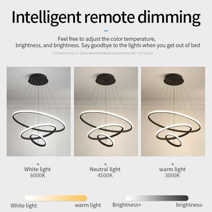 Arisha Modern Ring Pendant Light