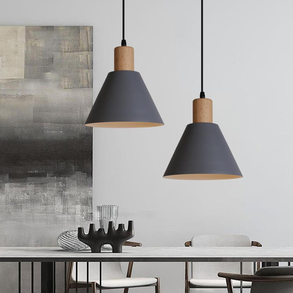 Contemporary Iron Pendant Light