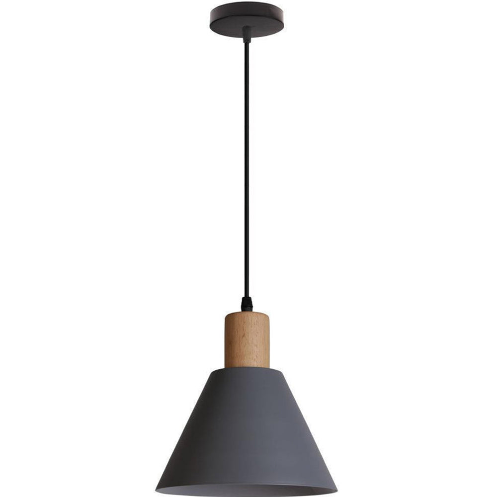 Contemporary Iron Pendant Light
