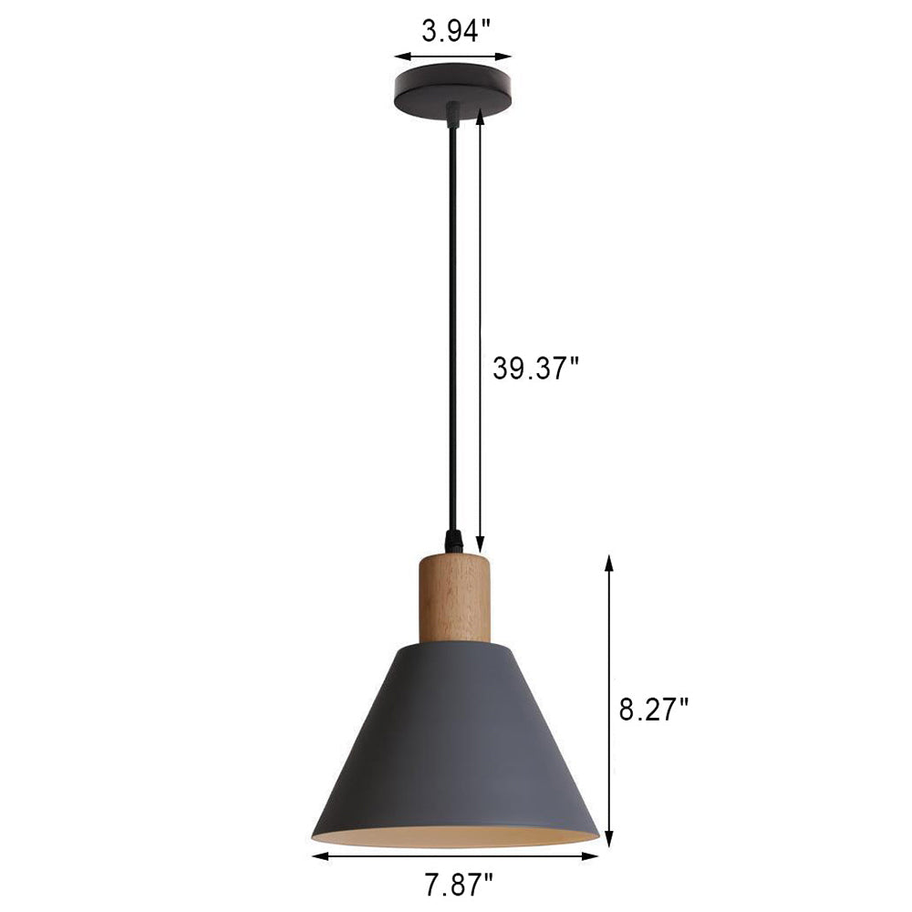 Contemporary Iron Pendant Light