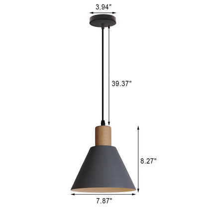 Contemporary Iron Pendant Light