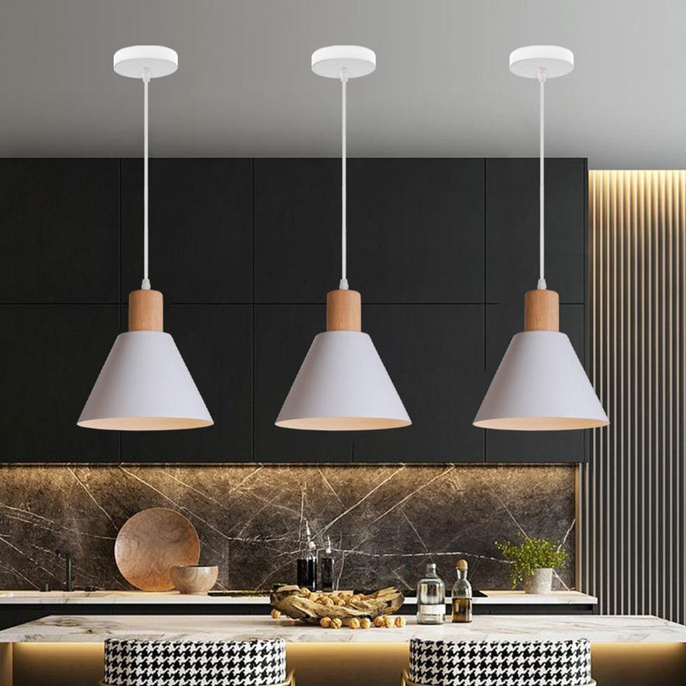 Contemporary Iron Pendant Light