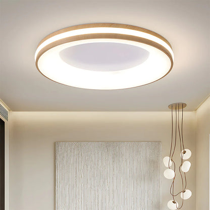 Modern Circle Ceiling Light Fixture