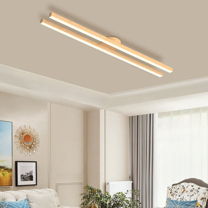 Modern LED Ceiling Light Fixture