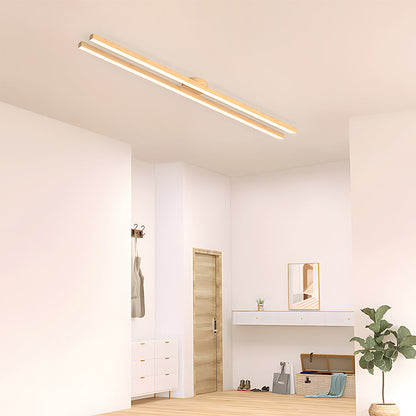 Modern LED Ceiling Light Fixture
