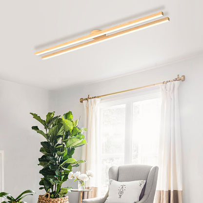 Modern LED Ceiling Light Fixture