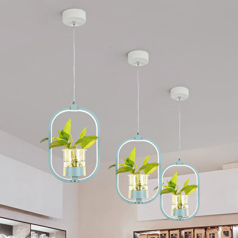Nordic Circular LED Ceiling Pendant Light