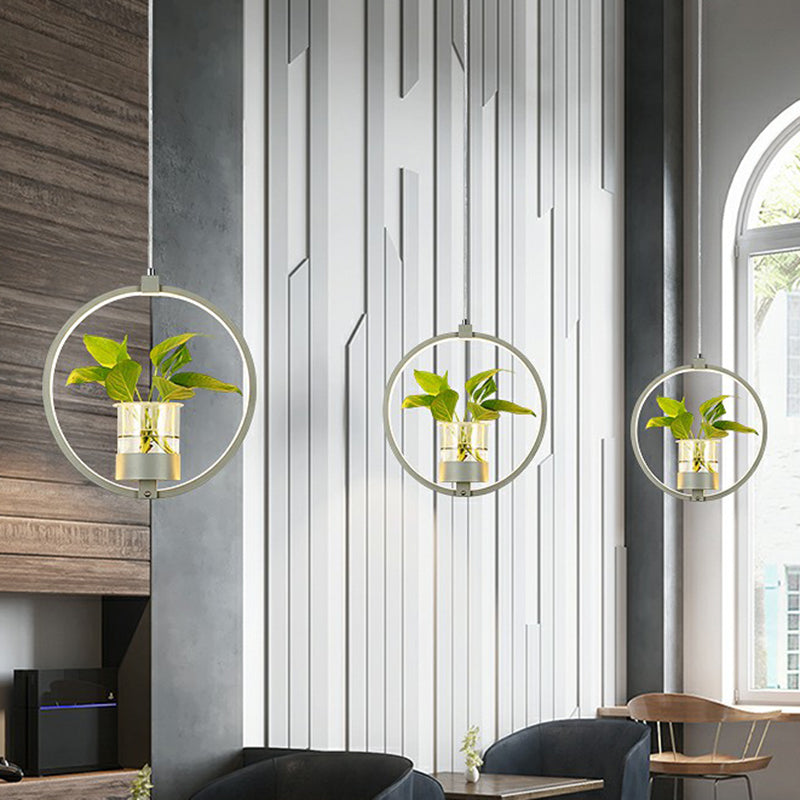 Nordic Circular LED Ceiling Pendant Light