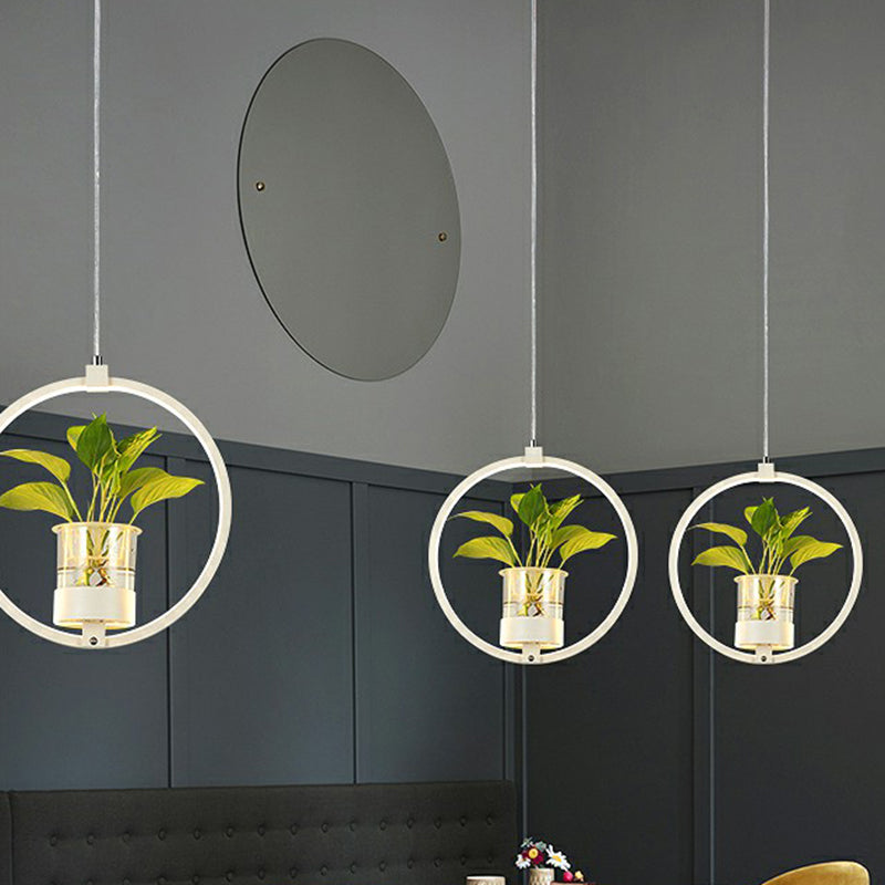 Nordic Circular LED Ceiling Pendant Light