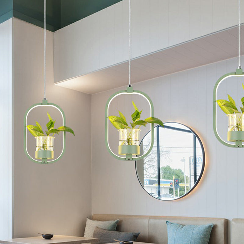 Nordic Circular LED Ceiling Pendant Light