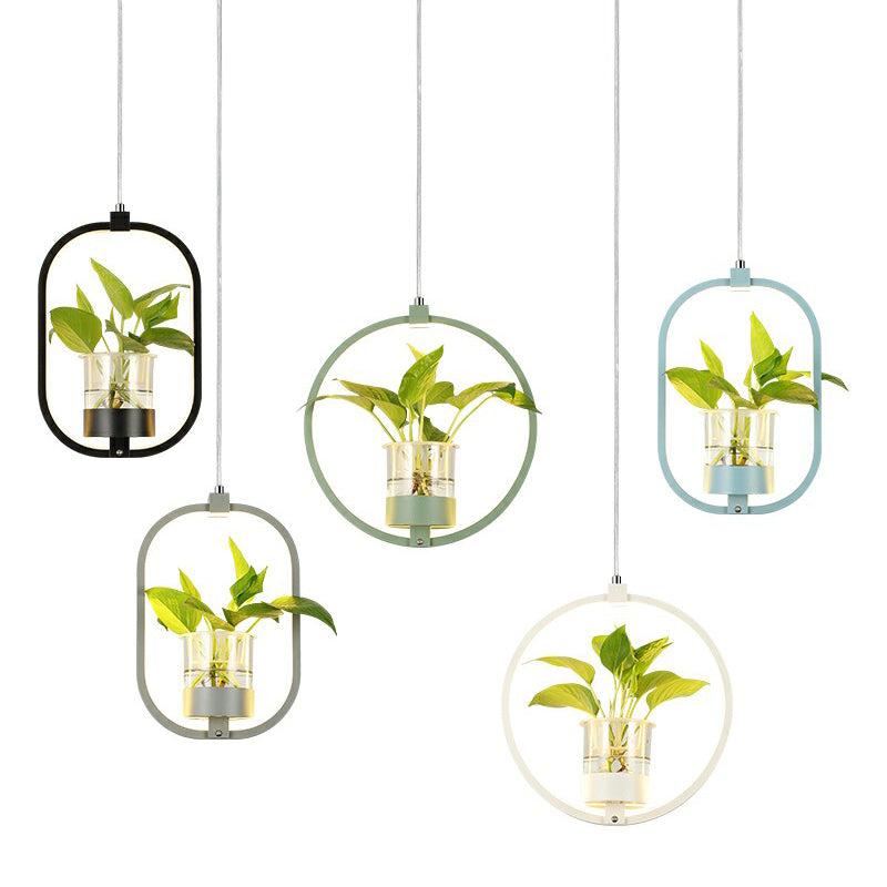 Nordic Circular LED Ceiling Pendant Light