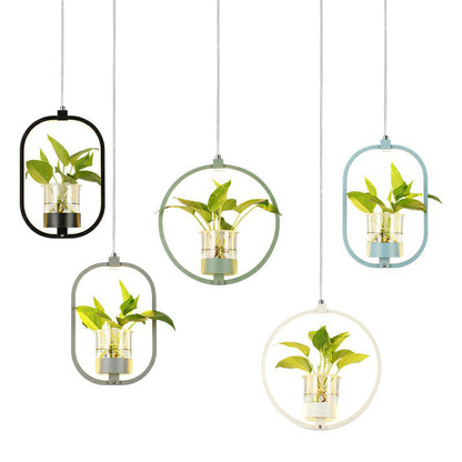 Nordic Circular LED Ceiling Pendant Light