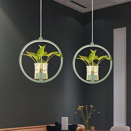 Nordic Circular LED Ceiling Pendant Light