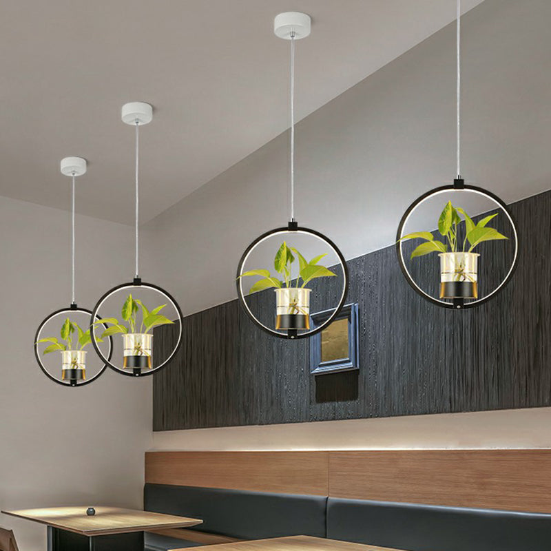 Nordic Circular LED Ceiling Pendant Light