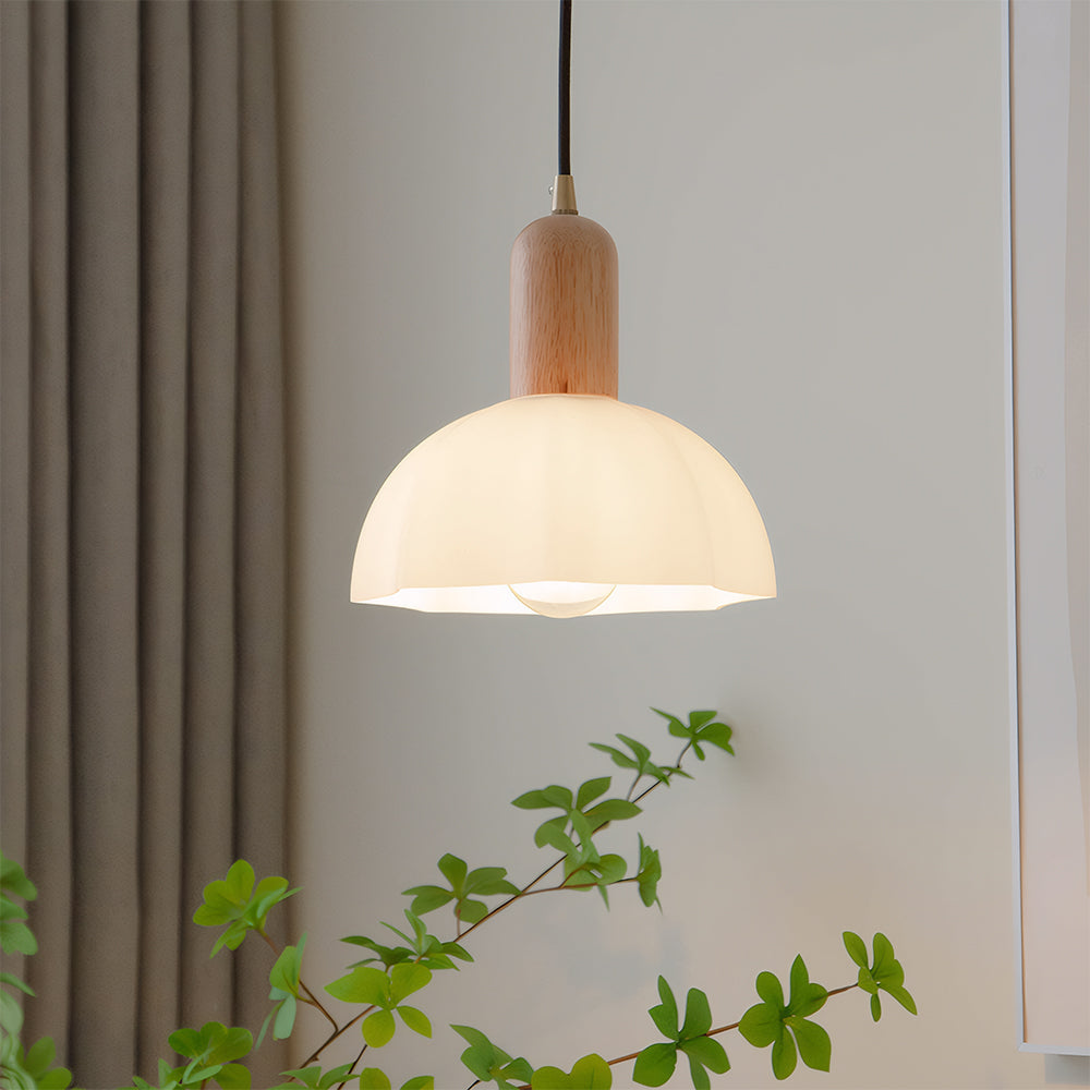 Retro Glass Shade Pendant Light