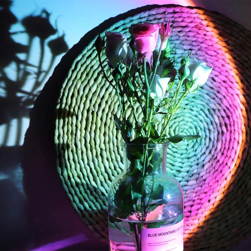 The Mellow Sunset Lamp